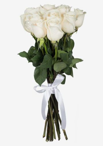 11 White Roses